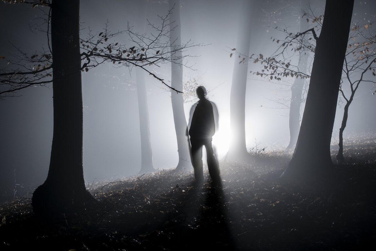 Загадочная тень. В тени человека. Человек в тумане. Человек в туманном лесу. Парень в тени.