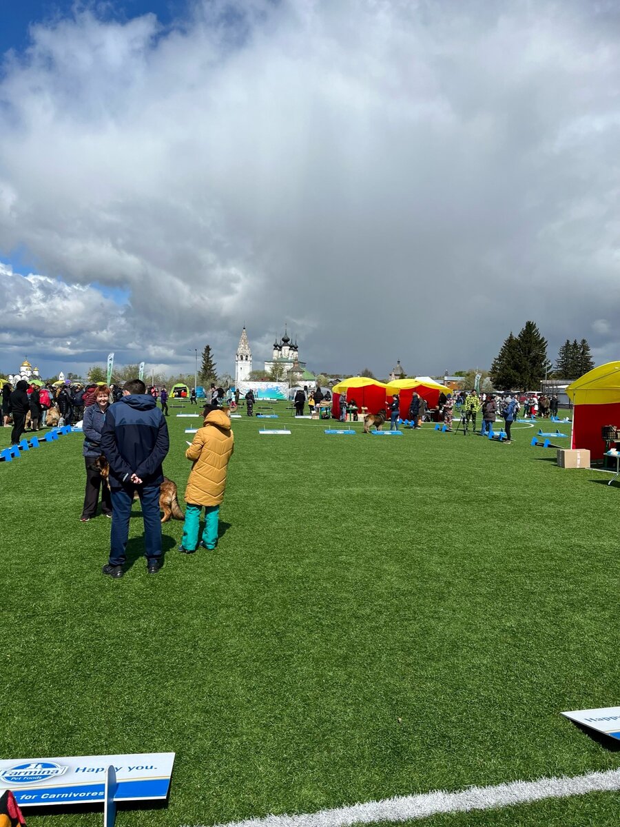 Ринги расположены на футбольном поле, они открытые и довольно большие, что удобно, когда собак больше 2-х.