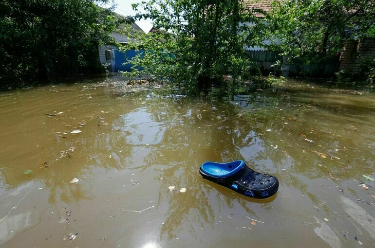   REUTERS/Alexander Ermochenko