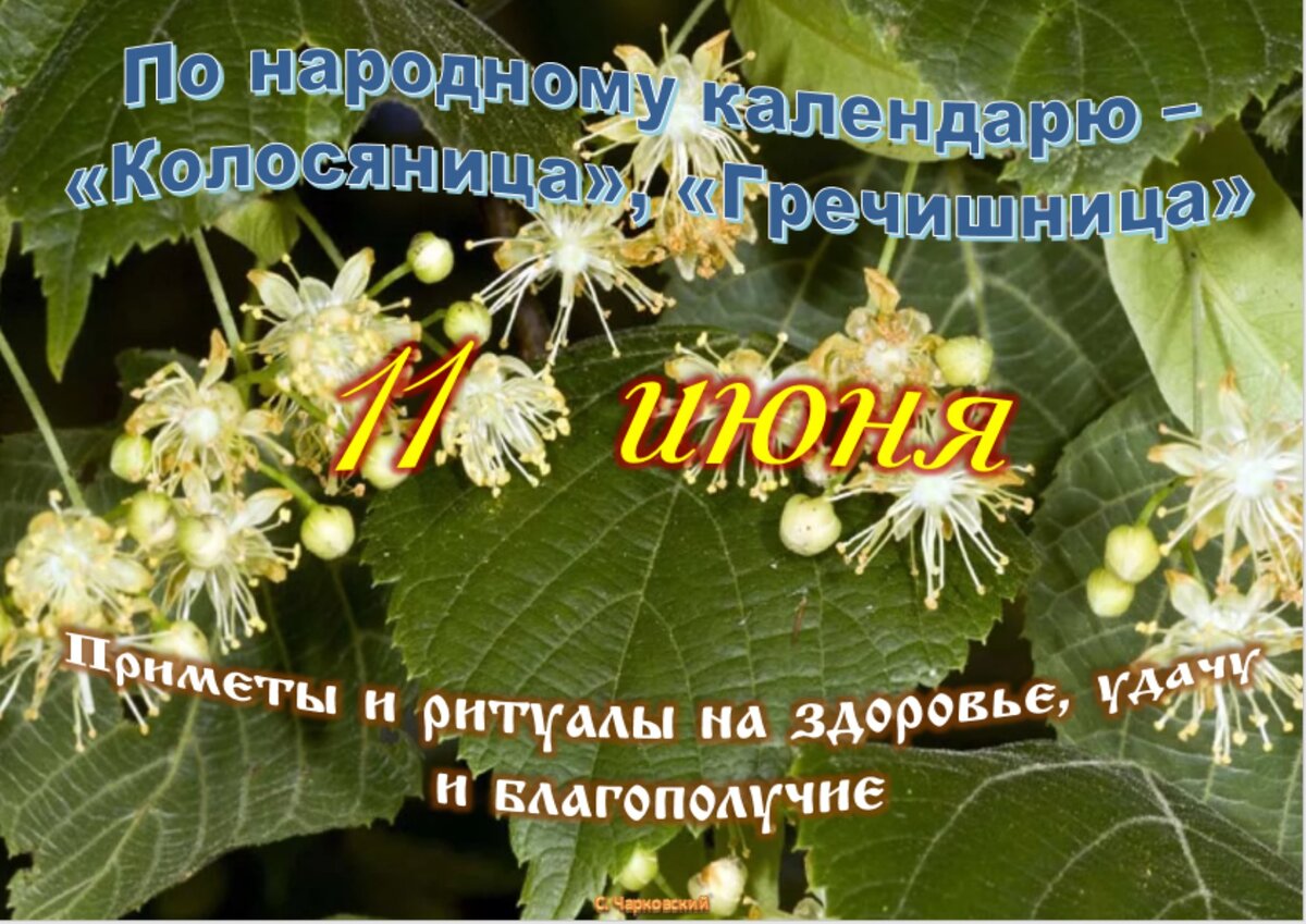 06. преподобномученица феодосия дева икона. 600-летия явления животворящего креста. преподобномученица феодосия константинопольская. день православие 11 июня 2023 г.