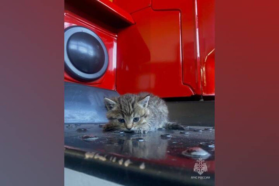    Фото: МЧС Бурятии