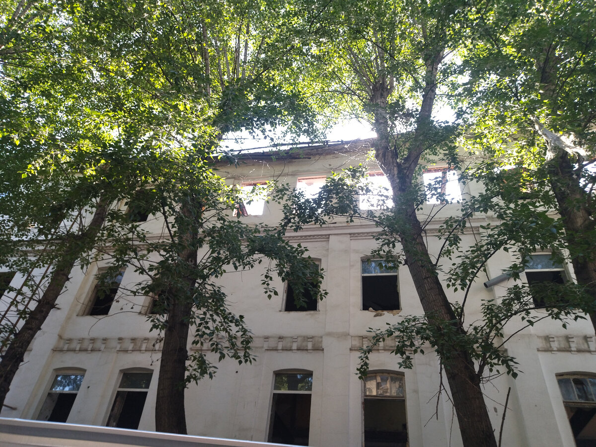 Когда-то эти тополя были крохотными саженцами у стен дома, дни которого сочтены 🥺