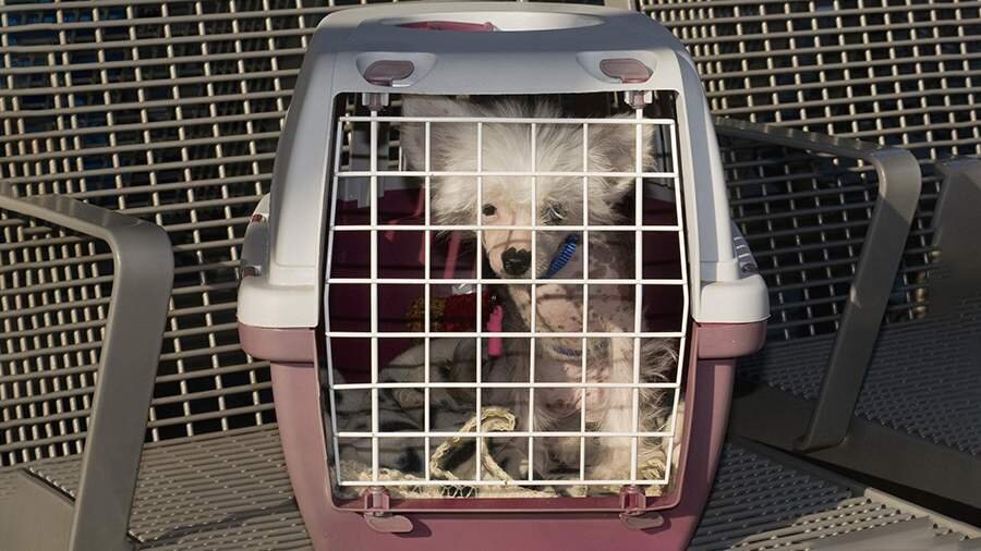 Фото: Global Look Press/Hartmut Schmidt