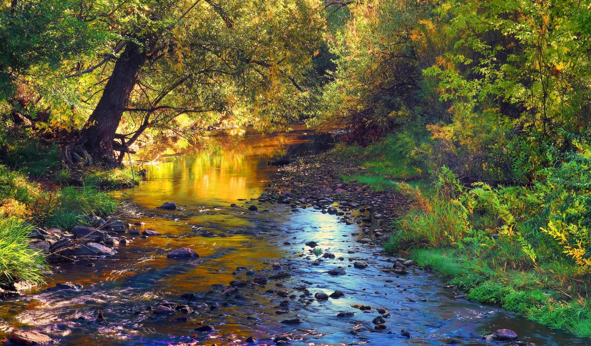 картинки Яндекс