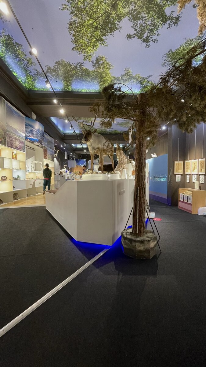 Интересно, почему я редко делаю горизонтальные кадры?) 