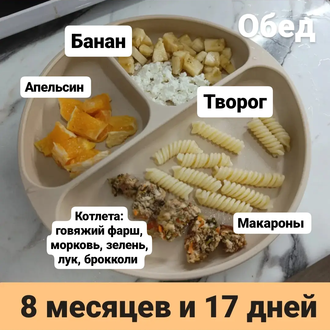 Пример тарелки в 8 месяцев 