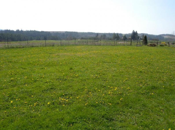 Бесплатные проекты для строительства на загородном участке в телеграмм-канале FreeDom_House