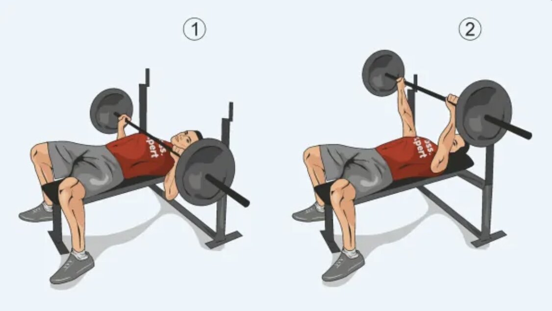 Жим штанги лежа техника выполнения. Жим штанги лежа, правильность выполнения. Жим штанги лежа выполнения. Жим штанги лежа, правильность выполнения. Жим штанги лежа, правильность выполнения.