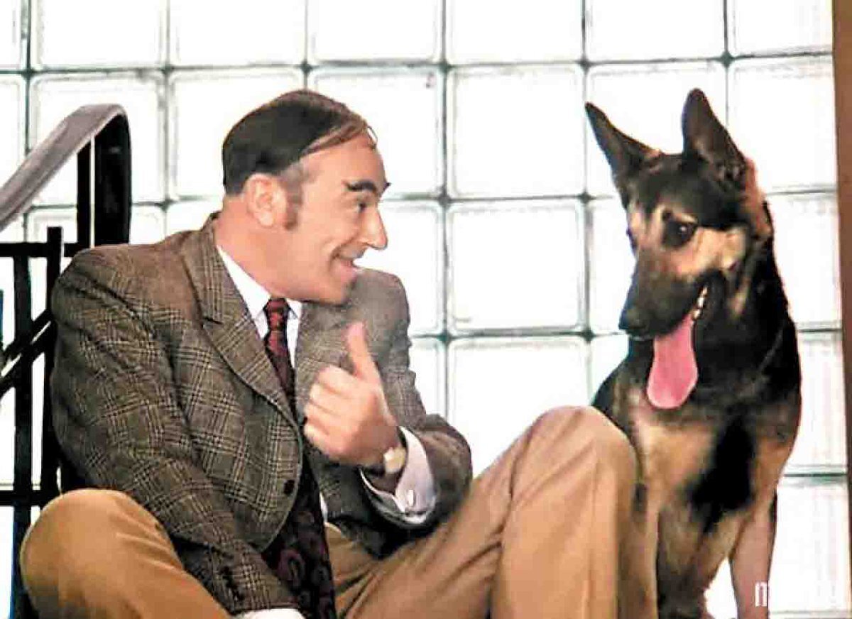 Кадр их фильма "Иван Васильевич меняет профессию". СССР. 1973 г. Реж. Л. Гайдай.