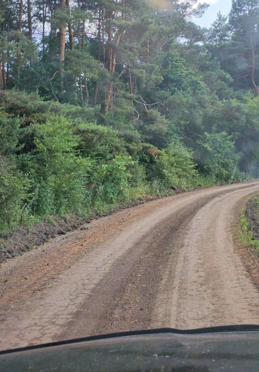 Едем на Москву полями.