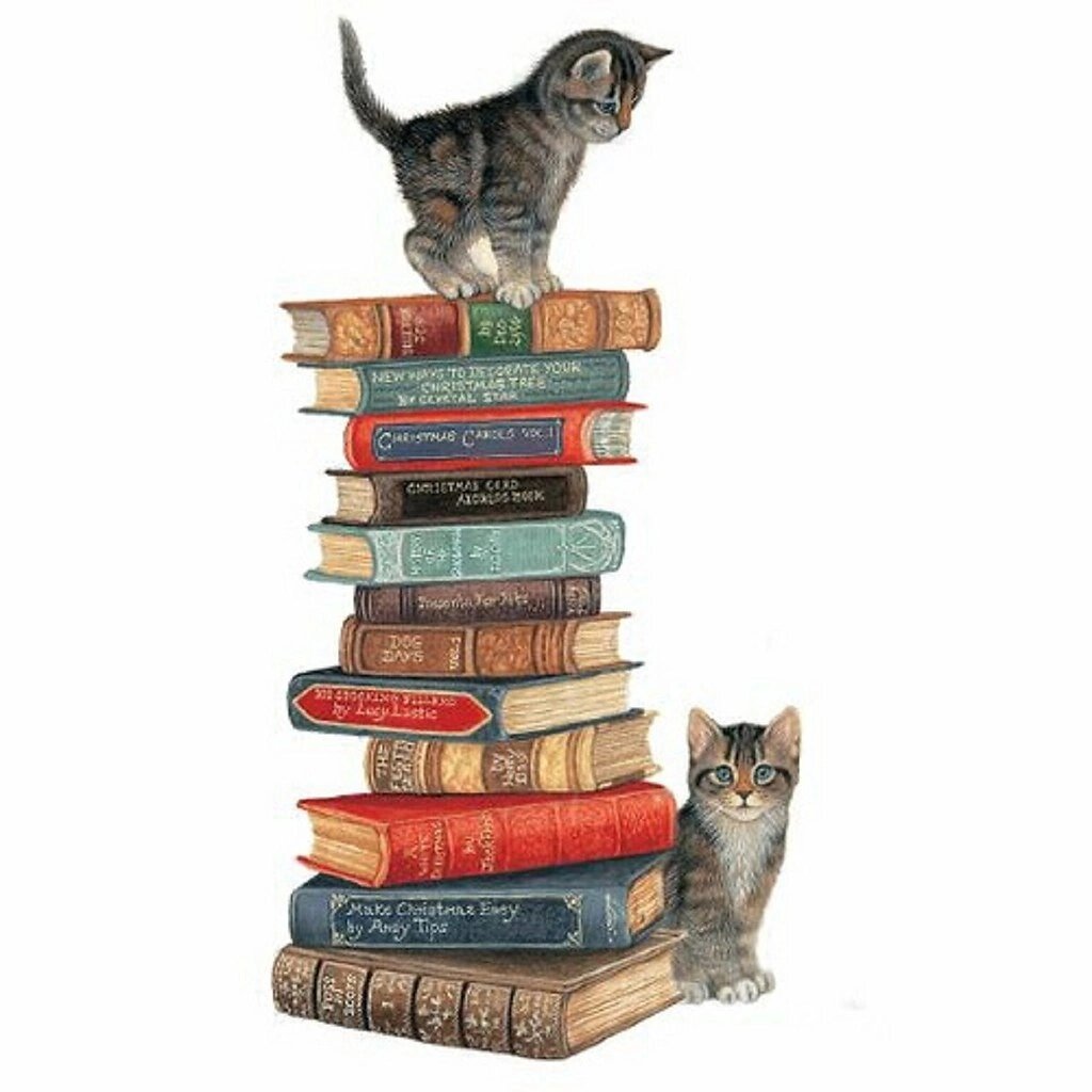 Фото с инернета