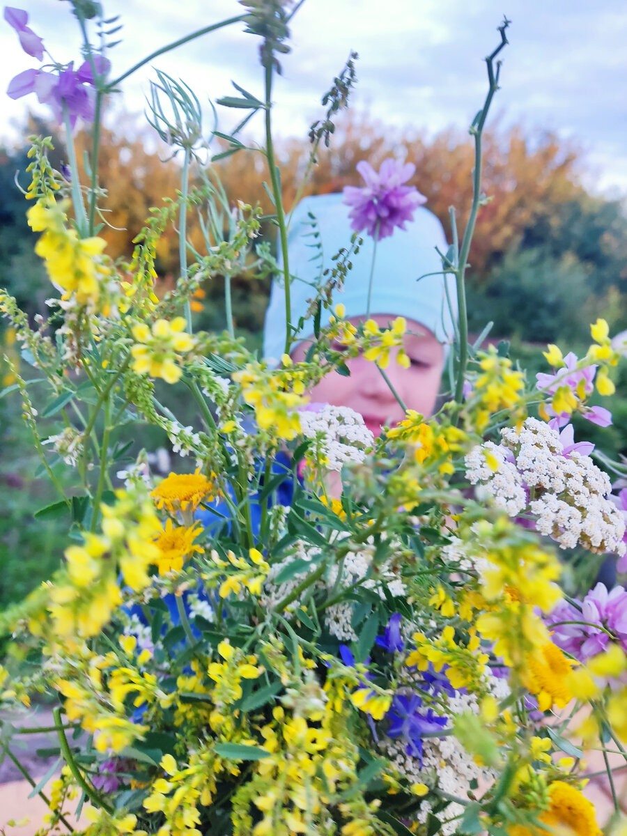 Собрала дочка полевые цветы, мне в подарок