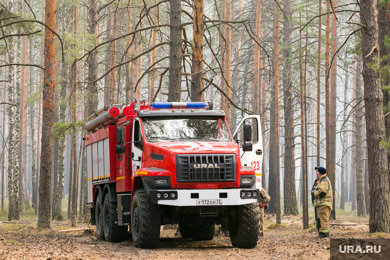 Проект пожары в лесу