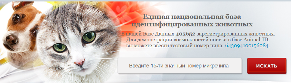Энимал чипирование животных. Чипирование кошек плюсы и минусы. animal-id приложение. зоозавр картинки. рт клещей зоозавр.