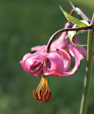 Фотография автора.