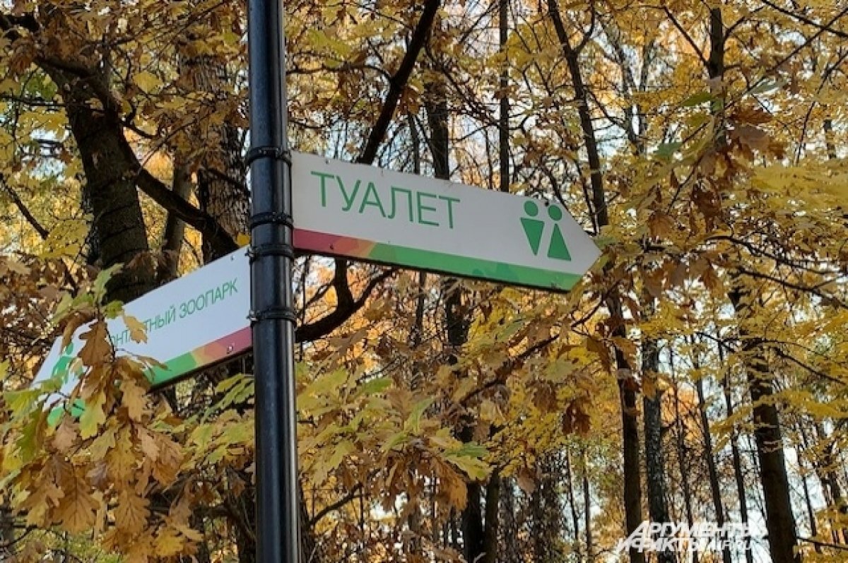    В Томске установят 10 общественных туалетов