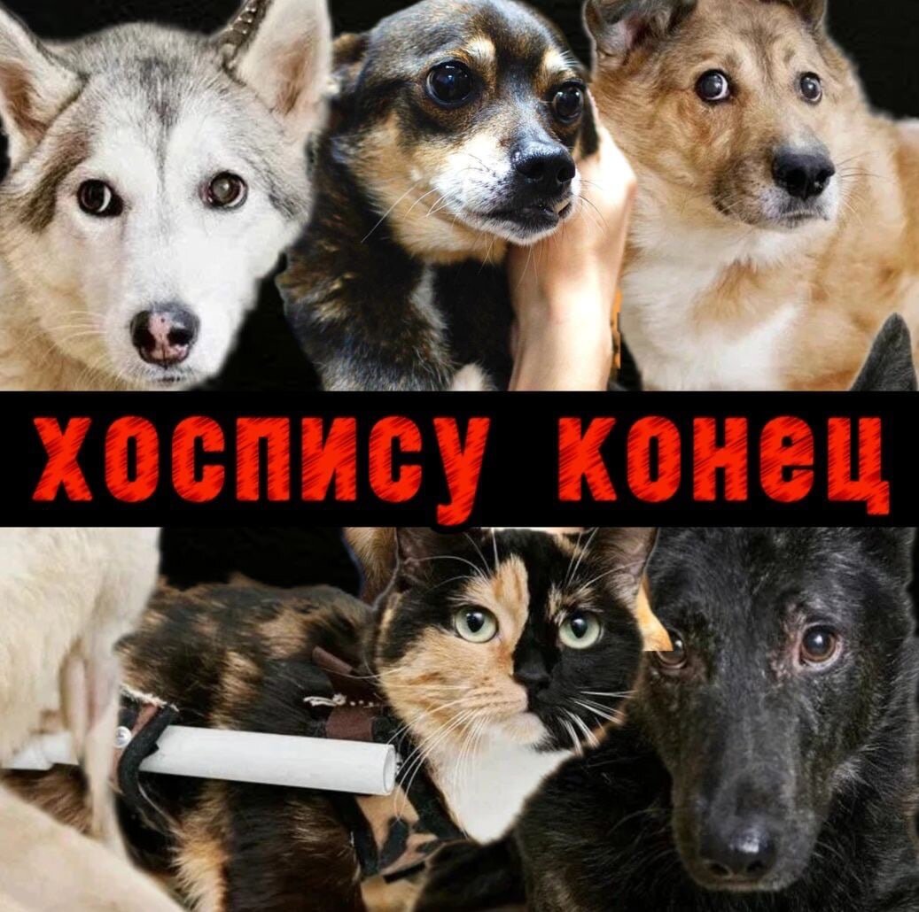 Хоспису нужна ваша помощь...