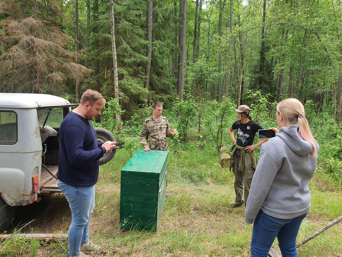 Директор "Вороньего гнезда" Вера Пахомова и специалисты по охране природы проводят последние приготовления к выпуску беркута.
