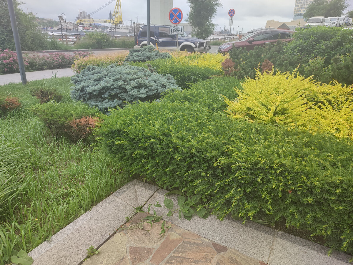 Садик в японском стиле рядом со скульптурной группой. Фото автора.