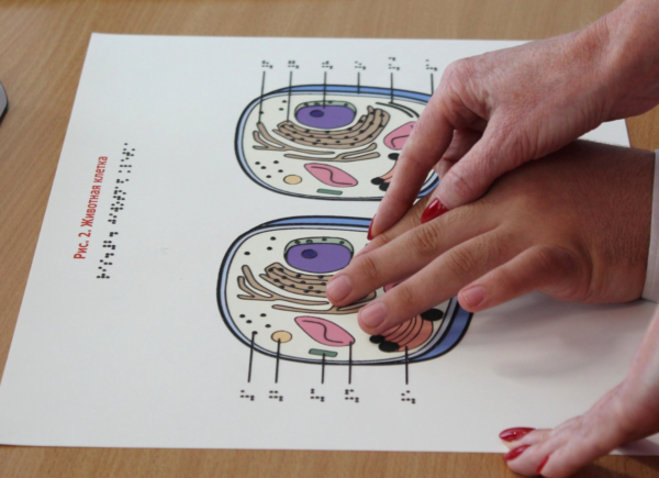    Фото: страница главы Ижевска/ ВК