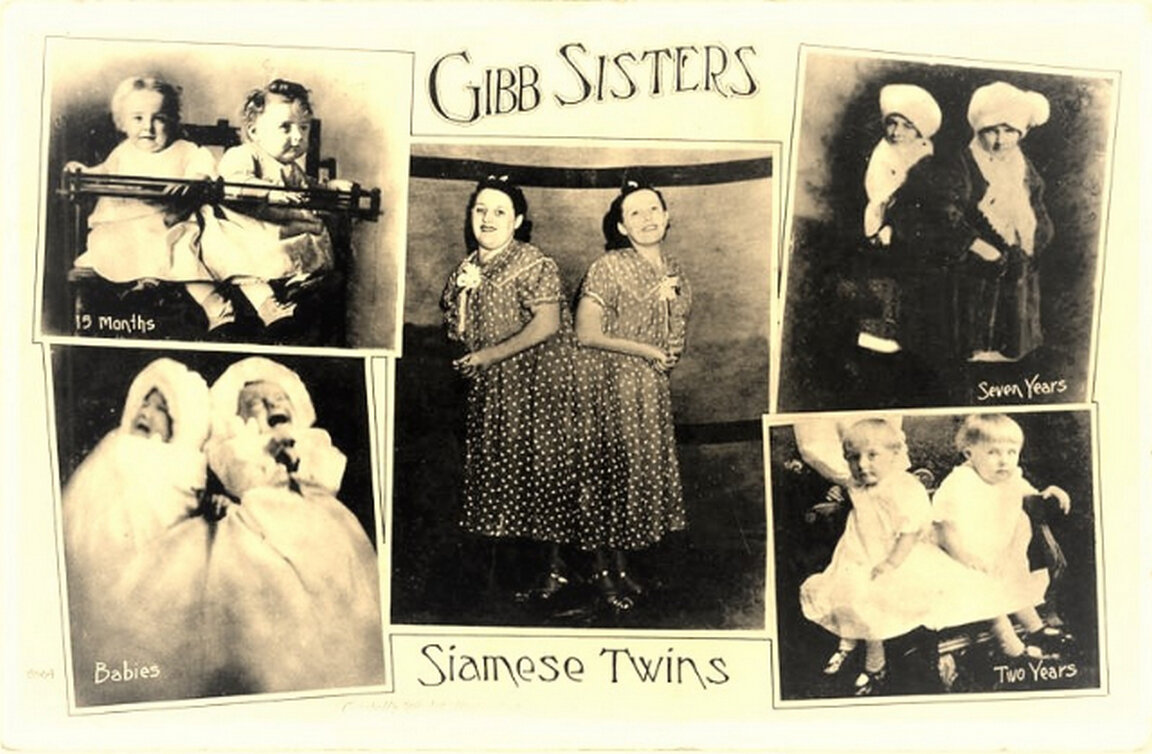 Мэри и Маргарет в школу не ходили, но получили неплохое домашнее образование. 