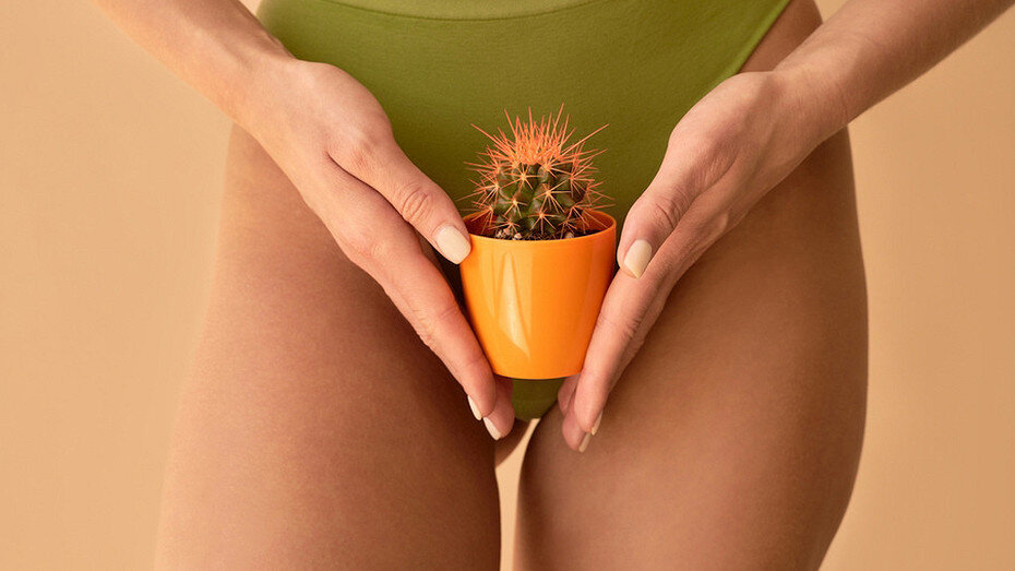     Источник здесь и далее: ShutterStock/Fotodom.ru; PR