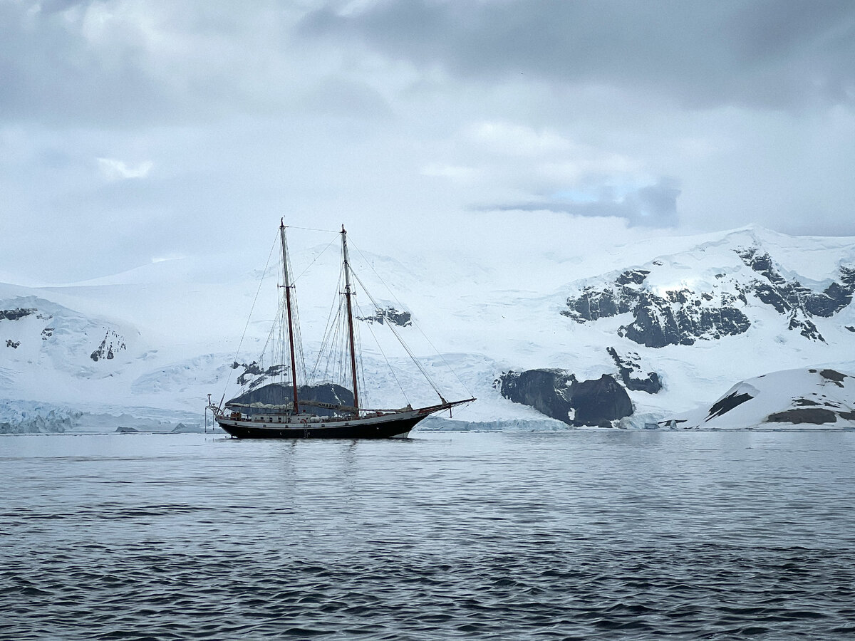 Фото: Андрей Смирнов
