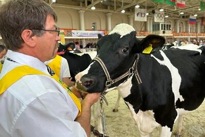    Областная выставка племенных сельскохозяйственных животных © Пресс-служба Министерства сельского хозяйства и продовольствия Московской области