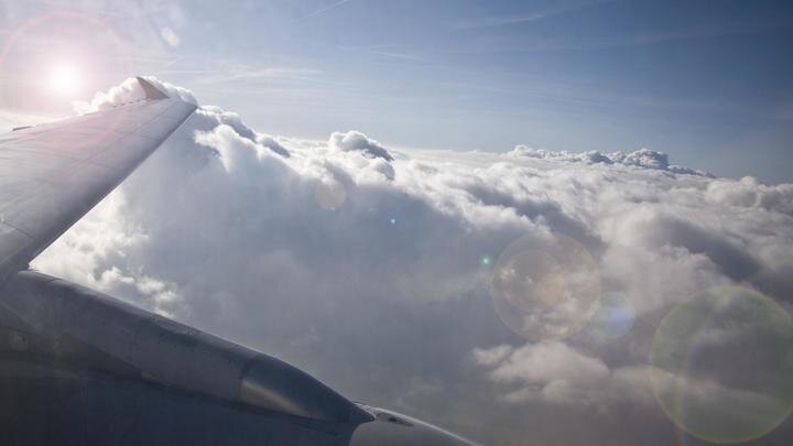 ФОТО: DECODE/IMAGEBROKER.COM/GLOBALLOOKPRESS