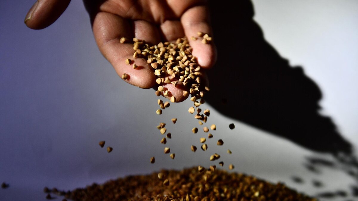    Гречневая крупа© РИА Новости / Павел Лисицын