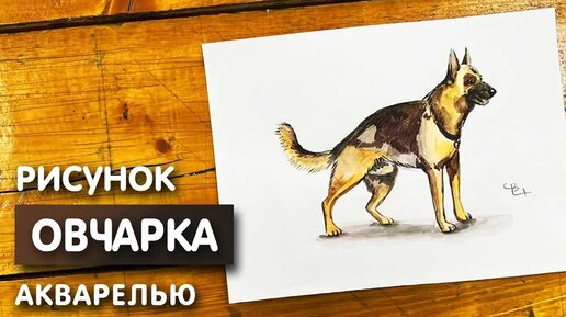 Рисунок на тему афиша (47 фото)