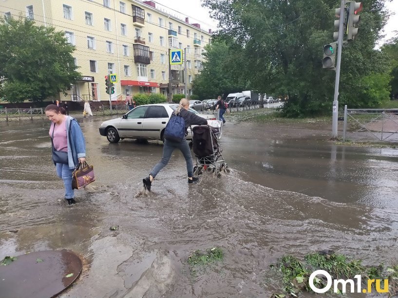 Пьяному лужа по колено. Лужи. Омск лужи. Яма на дороге. Дороги с ямами.