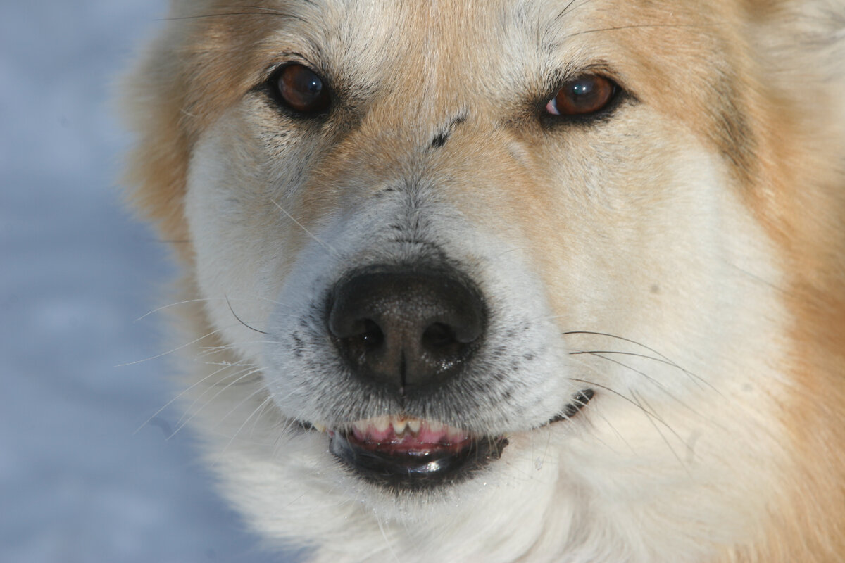 Фото: Александр Лыскин / Globallookpress