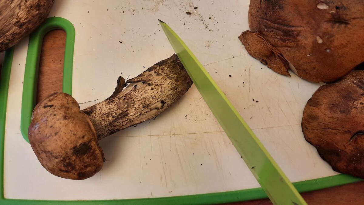 Отрезаем хвостик у грибов