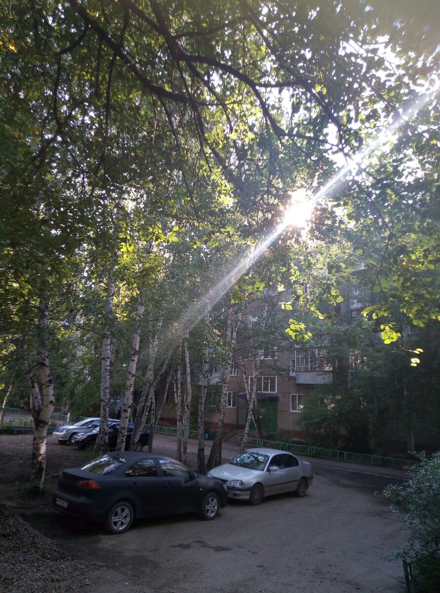 фото автора 