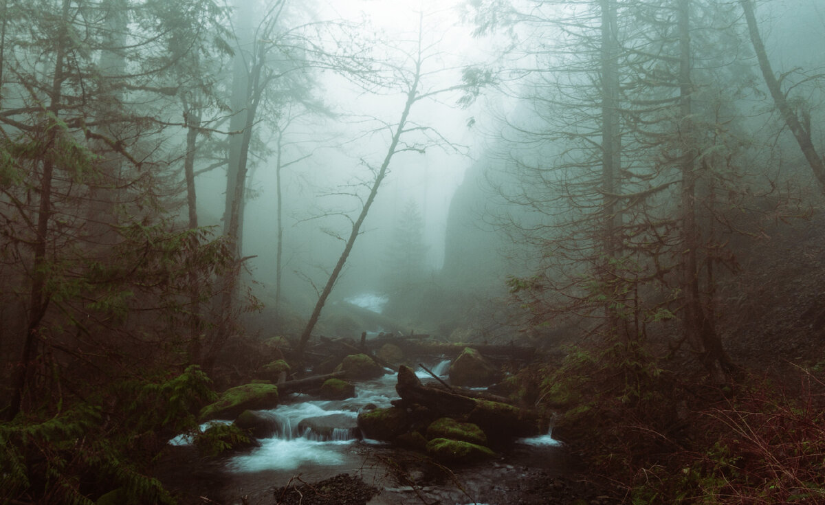 Иллюстрация <a href="https://ru.freepik.com/free-photo/beautiful-shot-of-a-lake-in-a-forest-in-a-rocky-terrain_7678514.htm#page=2&query=%D1%82%D0%B5%D0%BD%D0%B8%20%D0%BD%D0%B0%20%D0%B1%D0%BE%D0%BB%D0%BE%D1%82%D0%B5&position=22&from_view=search&track=ais">Изображение от wirestock</a> на Freepik