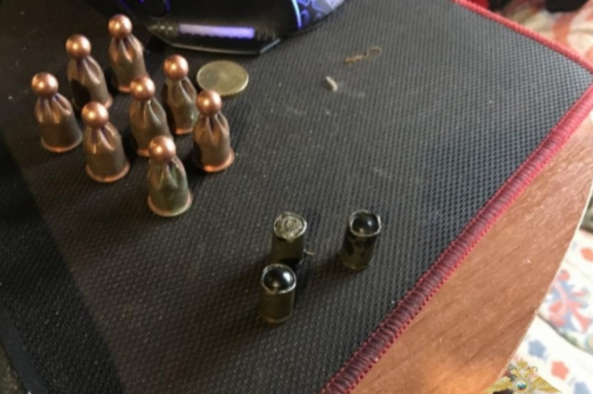    В Тверской области мужчина незаконно хранил в доме оружие и боеприпасы