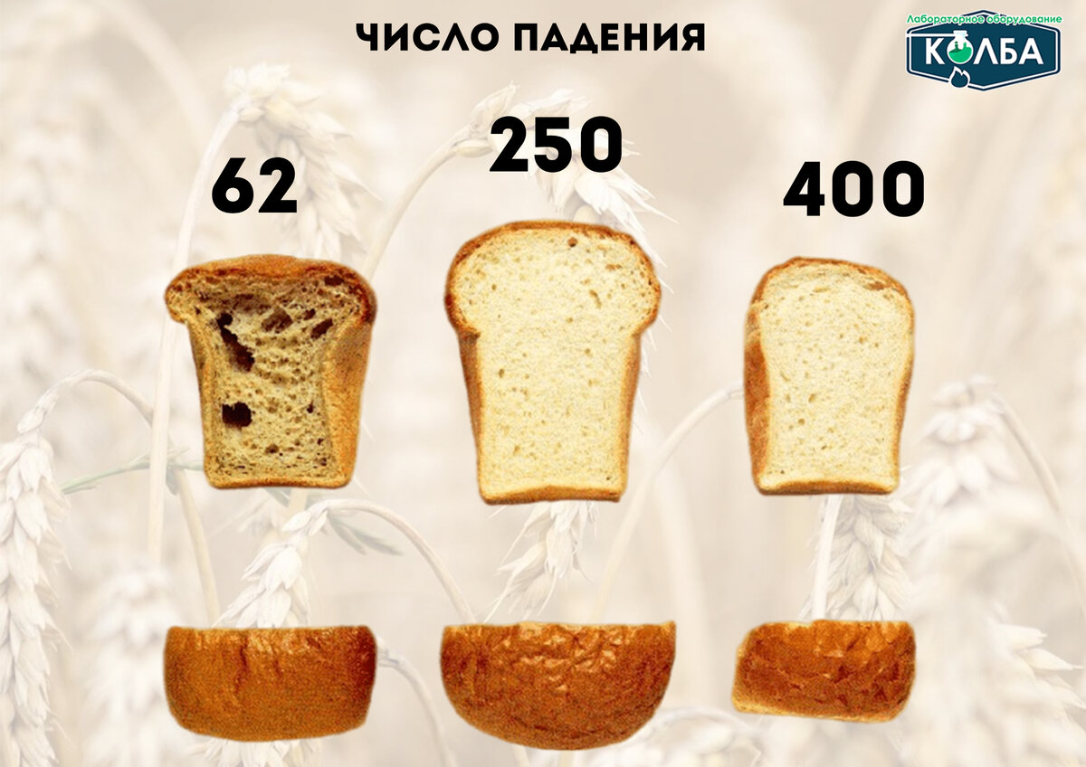 Чему равно число падения. Число падения. Число падения рожь. Число падения пшеницы норма. Число падения пшеницы что это такое
