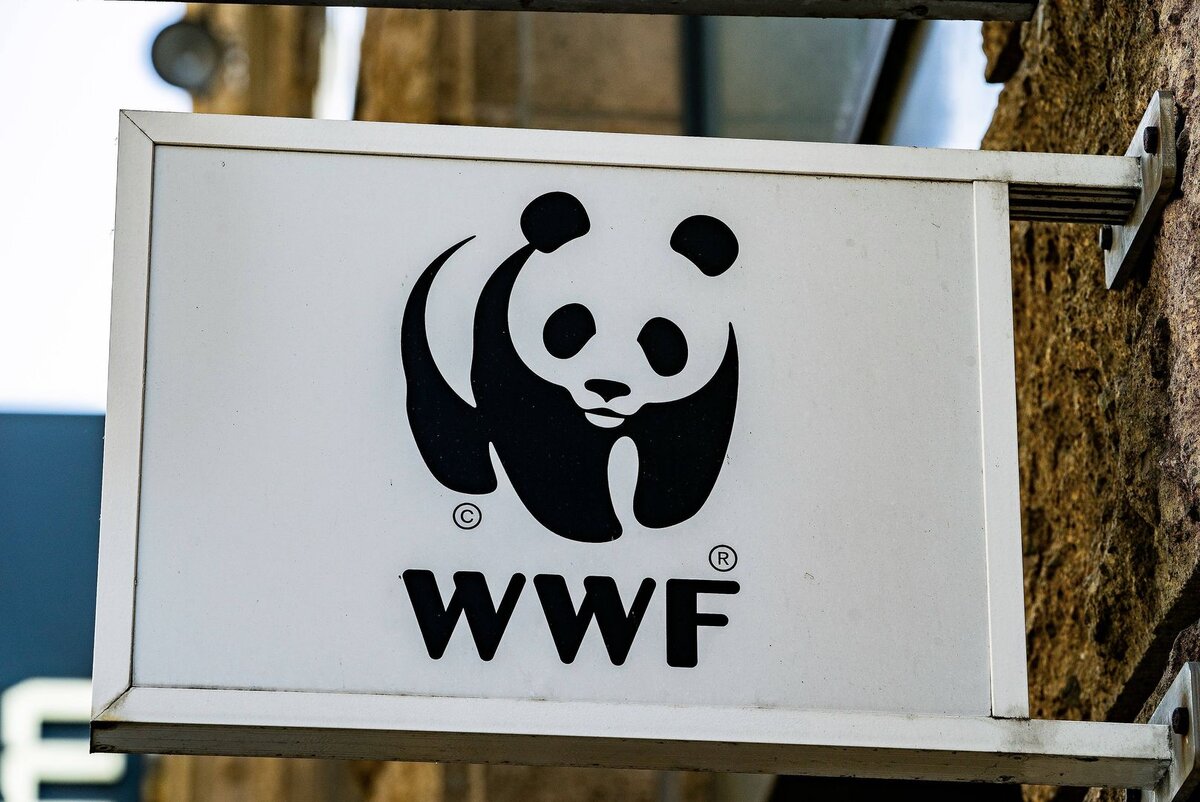 Wwf проекты в россии