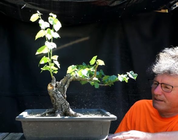 Фото 2022 года. 
Источник: https://youtu.be/kc3f7Z9wid4
