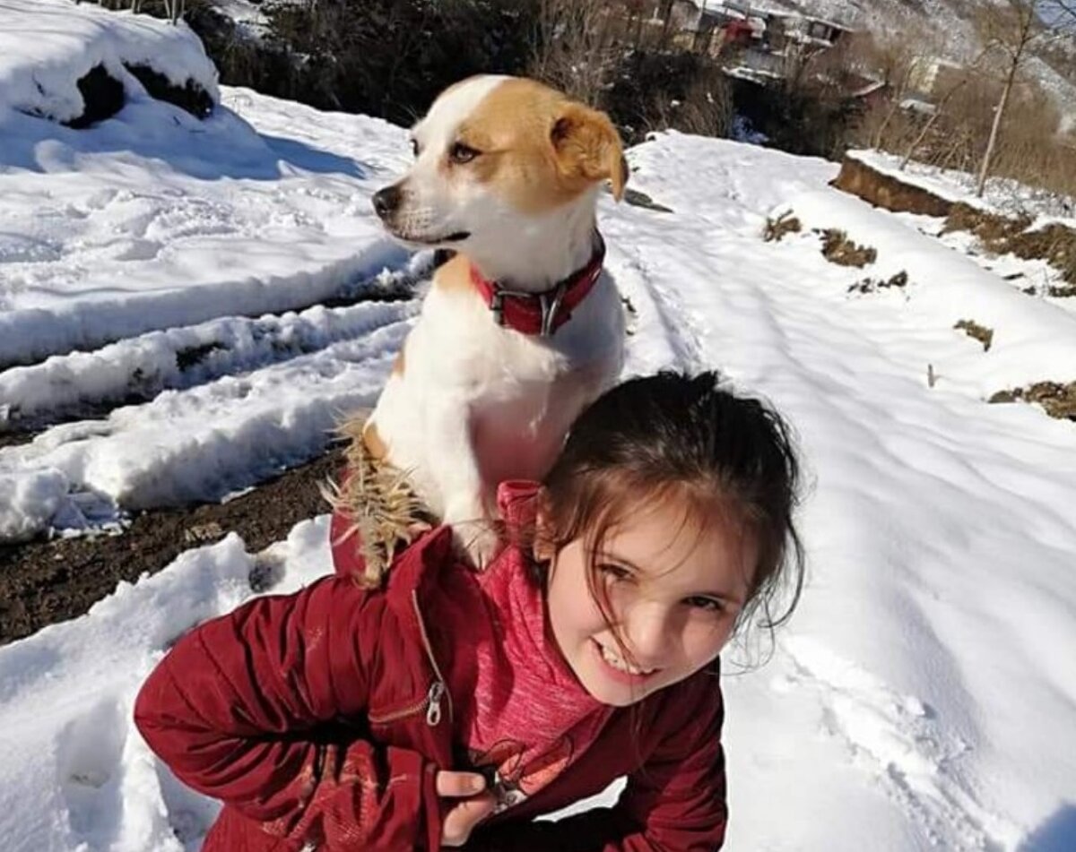 Девочка и собака. Источник фото: https://nl.newsner.com/tag/hartverwarmend/