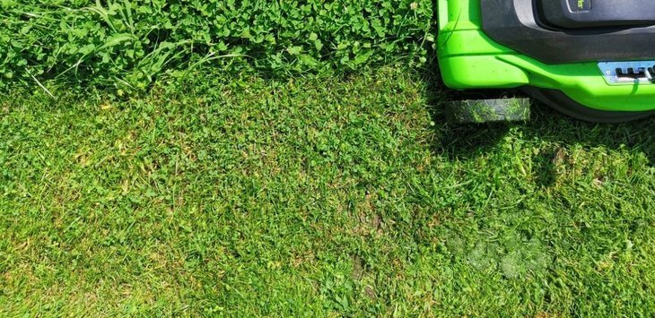    Как удалить семена сорняков в компосте из срезков скошенной травы в июне