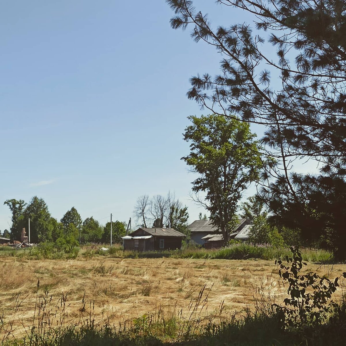 фото из личного архива 