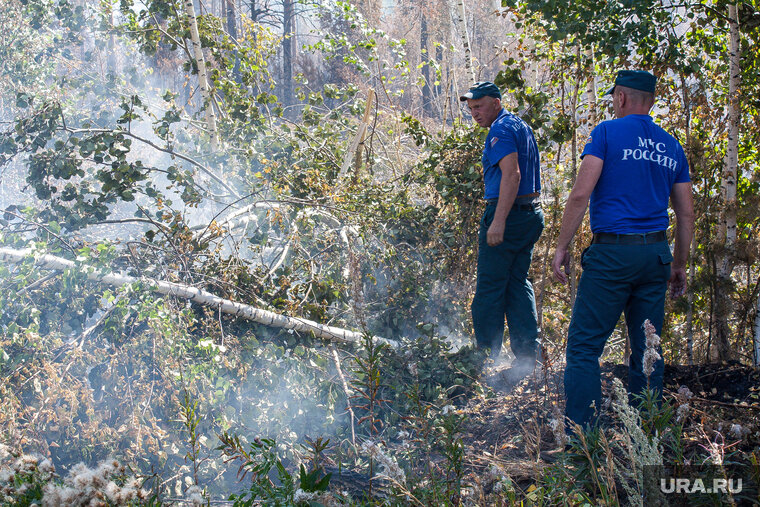    Решение о возбуждении дела по лесным пожарам принимает дознаватель МЧС, отметил Александр Бударагин