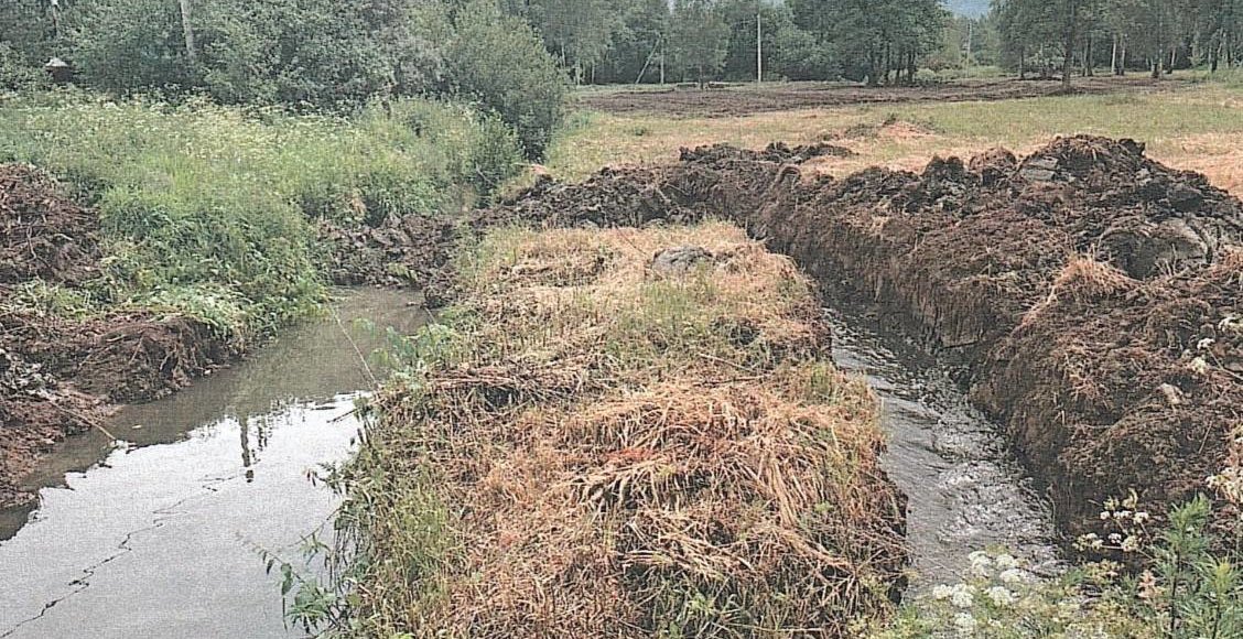    Фото: t.me/greenserpent