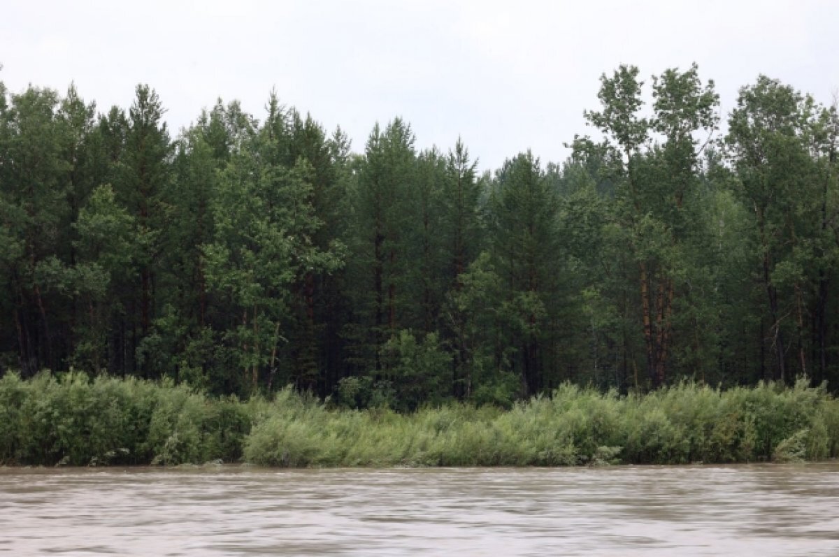    Режим ЧС введён в Тулуне Иркутской области из-за повышения воды в реке Ия