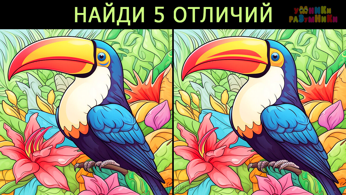 найди 5 отличий