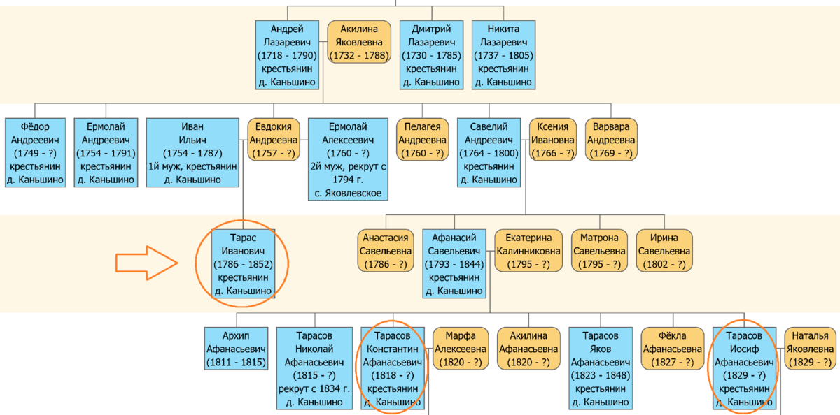Фрагмент родословной Тарасовых из Коньшина.