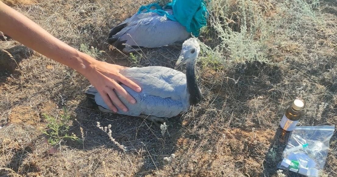    Фото: Росприроднадзор