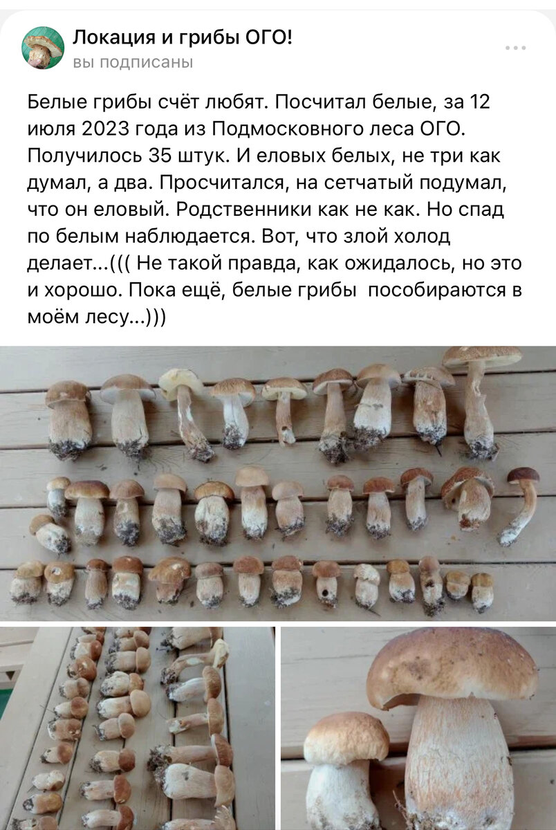 Учимся считать до 50 пока….